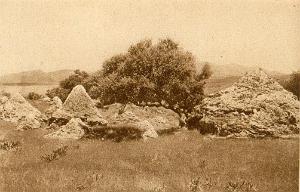 CONSTANTINE ET COTE OUEST 0333 HAMMAM MESKOUTINE LES CONES